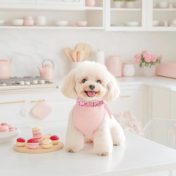 Strawberry Bow Dog Collar, Spring/Summer Pink Girl Dog Collars, Adjustable Heavy Duty Girly Female Dogs Collars for Small Medium Large Dogs with Metal Buckle S