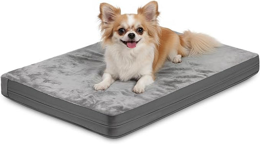 Waterproof Small Dog Bed Crate Pad 24 inch, Outdoor Washable Puppy Bed Orthopedic with Removable Cover Reversible, Foam Cat Bed Kennel Pad 23" x17, Durable Anti-Slip Bottom, Gray