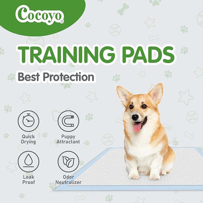 COCOYO Dog Training Pads Large Size丨Eliminating Urine Odor Puppy Pads 丨 Premium Dog Pee Pads Value Pack (30 Count, L 26x30 inch)