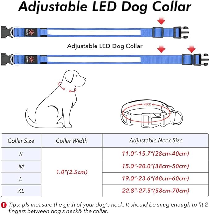 Illumifun LED Collar for Dogs, USB Rechargeable Light Up Dog Collars Glow in The Dark (Blue, Small)