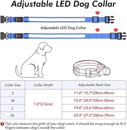 Illumifun LED Collar for Dogs, USB Rechargeable Light Up Dog Collars Glow in The Dark (Blue, Small)