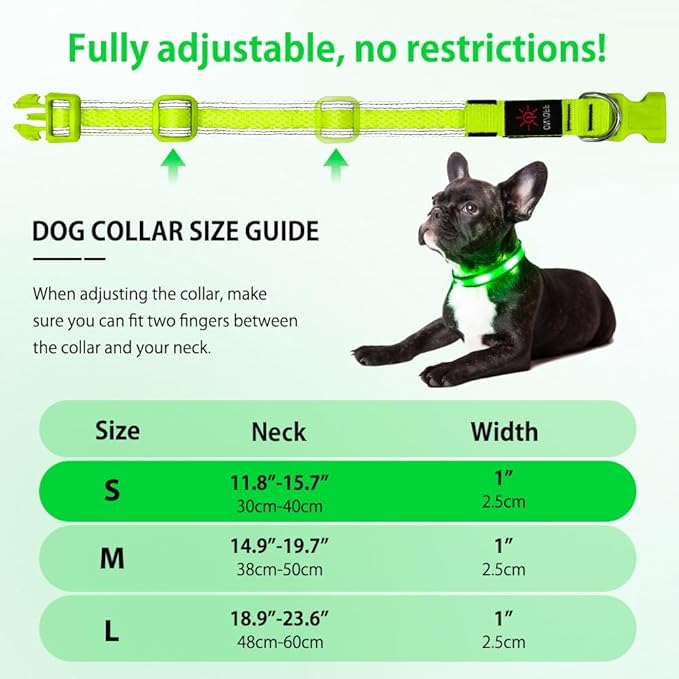 Illumifun Light Up Dog Collar - USB Rechargeable LED Dog Collar Glow in The Dark - High Visibility Glow Collar for Night Walking (Small, Fluorescent Green)