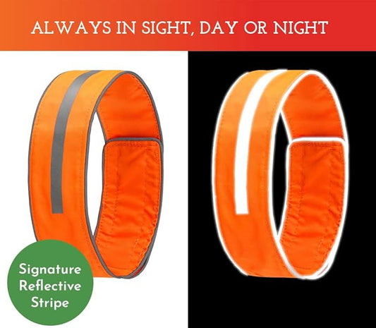 SPOT THE DOG! Reflective Dog Collar - Adjustable Pet Collars, Safe, Durable, Comfortable Dog Walking Accessories for Medium Dog, Hunting Dog, Puppy, Lightweight Boy, Girl Dog Collars (Blaze Orange, M)
