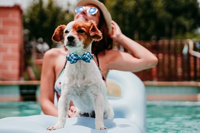 Maca Bates Plaid Blue Dog Collar with Checkered Bow Bowtie for Grid Dogs Bows Tie Adjustable Breakaway Collars Birthday Gift Colar for Small Medium Large XL Girl Boy Male Female Puppy Pets