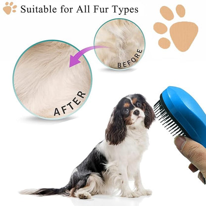 Small Dog Brush, Soft Pet Grooming Brush for Shih Tzus, Yorkies, Maltipoos, Maltese, Puppy Massaging Hair Brush, Cat Brush, for Small Animals Rabbits of All Hair Types (Gradient blue)