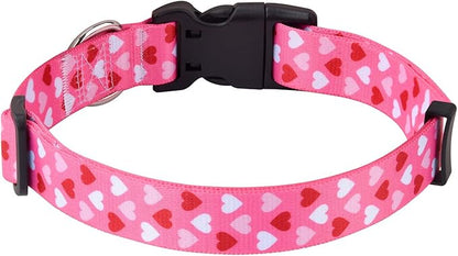 Dog Collar - Adjustable Heart Dog Collar - Love Theme - Perfect for Small Medium Large Dogs(Pink Heart,M)