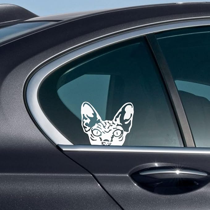 WIRESTER 6 inch Clear Vinyl Decal Sticker Decoration for Car Window (Or Any Flat Surface) - Wrinkled Skin Sphynx