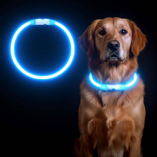 Rechargeable Reflective Pet Gear LED Dog Collar Light Up, Flashing Glowing Illuminated Collar for Night Walking, Neon Pet Collar with Light for Small/Medium/Large Dogs (Blue, 1-Pack)