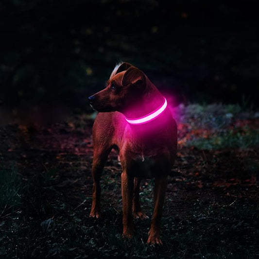 MASBRILL Light Up Collar - Rechargeable LED Dog Collar for Night Walking, Flashing Light, Fits Small to Large Dogs