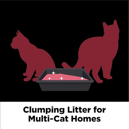 ARM & HAMMER Clump & Seal Platinum Multi-Cat Complete Odor Sealing Clumping Cat Litter, 14 Days of Odor Control, 18 lb X 2 Pack (36 lbs)