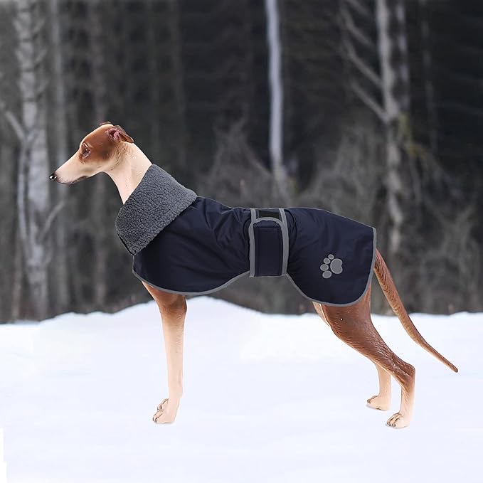 Geyecete Dog Winter Coat Greyhound Raincoat Fabric with Lamb Velvet Inside Outdoor Dog Apparel with Adjustable Bands for Medium, Large Dog-Navy-M