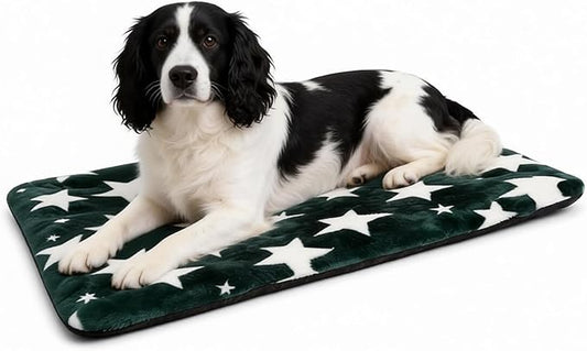 Washable Dog Bed Mat with Anti-Slip Bottom, Deluxe Plush Memory Foam Crate Pad & Waterproof Outdoor Kennel Mat for Dogs & Cats-Durable Crates Beds, Large Medium Small Puppy Size30 x 20",Green