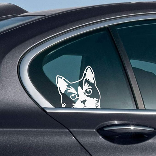 WIRESTER 6 inch Clear Vinyl Decal Sticker Decoration for Car Window (Or Any Flat Surface) - Tuxedo Cat