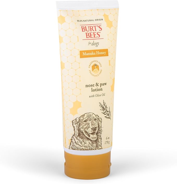 BURT'S BEES FOR PETS Paw & Nose Lotion for Dogs with Manuka Honey and Olive Oil, Soothes Dry Dog Paws -Naturally Derived Ingredients, 6 Oz