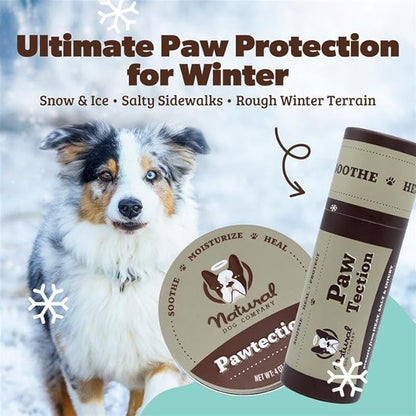 Natural Dog Company PawTection Balm for Dogs – Winter Paw Protection from Snow, Ice & Salt, Wax-Based Paw Barrier Balm, All Breeds for Cold Weather Walks & Outdoor Adventures, Lick-Safe, 1 oz Tin