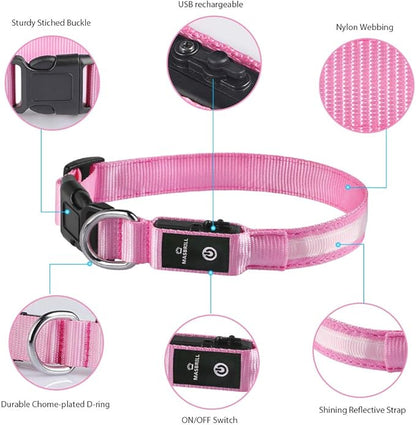 MASBRILL Light Up Collar, Glow LED Rechargeable Flashing Night Walking Collar - Waterproof, 4 Colors, 3 Sizes for Small to Large Dogs