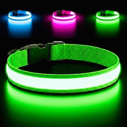 Light Up Dog Collar – Reflective, Adjustable, Rechargeable Electronic Glow Pet Collars – Bright, Comfortable, High Visibility LED Dog Collar for Night Safety, Outdoor Walk, Flashing Fun, Green, Small