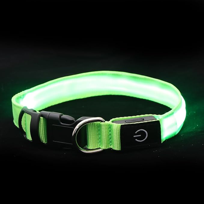 LED Light Up Dog Collar for Night Walking, Rechargeable Safety Glow Illuminated Collar with 3 Modes Flashing, Reflective Adjustable Pet Light for Small/Medium Dogs Puppy 15-19" Neck 1 Pack (Green)