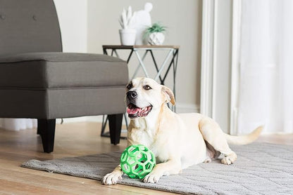 JW Pet HOL-Ee Roller Dog Toy Size: 6.5", Set of 2 (2 Items)