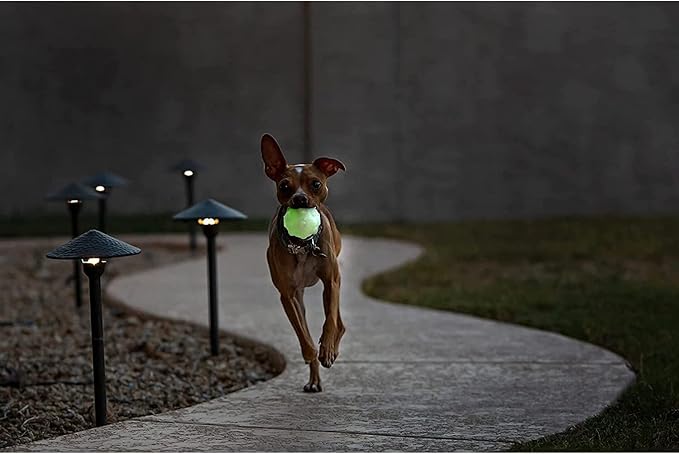 Jolly Pets Jolly Jumper, Large 4", Bouncing Dog Toy Ball; Glows in the Dark