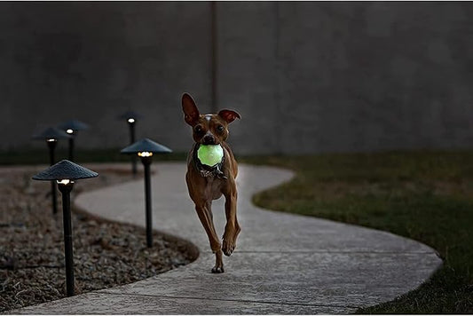 Jolly Pets Jolly Jumper, Large 4", Bouncing Dog Toy Ball; Glows in the Dark
