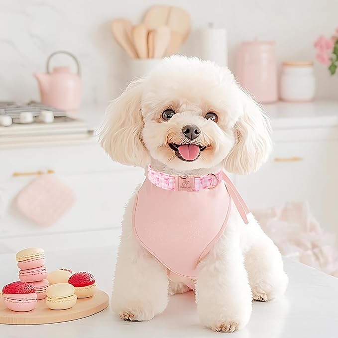 Girl Dog Collar, Sweetheart Girly Pink Bow Dog Collars, Adjustable Heavy Duty Spring/Summer Female Dogs Collar for Small Medium Large Dogs with Metal Buckle XL