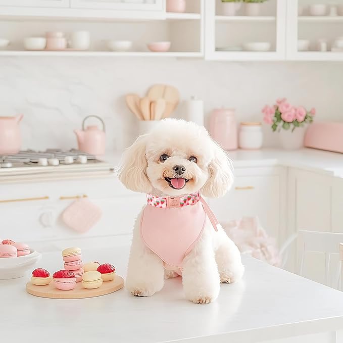 Strawberry Dog Collar for Puppy Small Dogs - Adjustable Spring Summer Pink Girl Dog Collars, Cute Girly Female Pet Collar with Metal Buckle XS