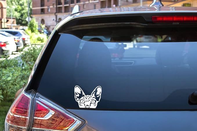 WIRESTER 6 inch Clear Vinyl Decal Sticker Decoration for Car Window (Or Any Flat Surface) - Wrinkled Skin Sphynx