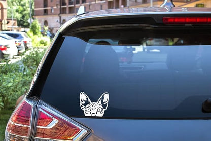 WIRESTER 6 inch Clear Vinyl Decal Sticker Decoration for Car Window (Or Any Flat Surface) - Wrinkled Skin Sphynx