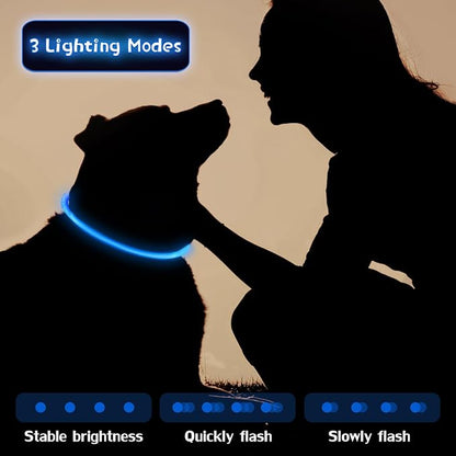 Weewooday 3 Pcs Dog Collar USB Rechargeable LED Light up Dog Collar Flash Waterproof Pet Necklace Pet Lights for Night Walking Adjustable Safety Necklace for Large Medium Small Puppy(Blue)