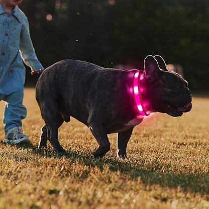 Illumifun Light Up Dog Collar - USB Rechargeable LED Dog Collar Glow in The Dark, High Visibility Glow Collar Light for Nighttime Walking (Medium, Light Pink)