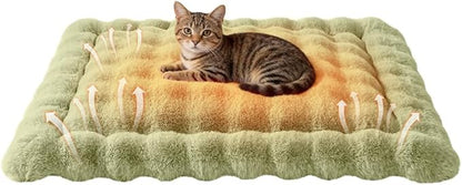 Cat Bed Mat, Soft Plush Faux Fur Kneading Pet Bed, Machine Washable Cat Sleeping Pad for Indoor Cats & Kittens, Non-Slip Fluffy Cat Rug for Couch Sofa Floor, 23x15 Inch Green