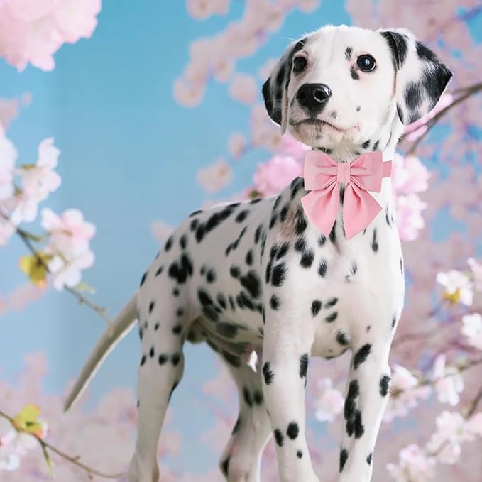 Maca Bates Cherry Pink Dog Collar with Cute Solid Sailor Bow Tie for Large Girl Boy Dogs,Girly Adjustbale Durable Breakaway Soft Collars with Bowtie for Female Male Puppy,Pet with Metal Buckle