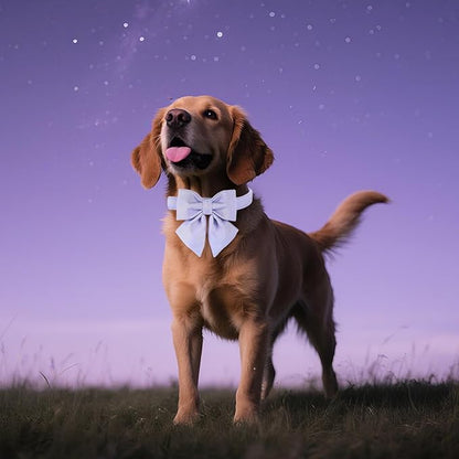 Maca Bates Violet Dog Collar with Cute Lavender Solid Sailor Bow Tie,Small Girl Boy Dogs,Girly Adjustbale Durable Breakaway Soft Collars with Bowtie for Female Male Puppy,Pet with Metal Buckle