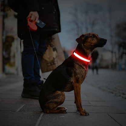 Illumifun LED Dog Collar, USB Rechargeable Light Up Dog Collars, Flashing Safety Dog Collar Glow in The Dark (Red, Medium)