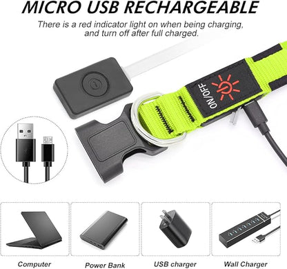 Illumifun LED Dog Collar, USB Rechargeable Light Up Dog Collar Glow in The Dark (Green, Medium)