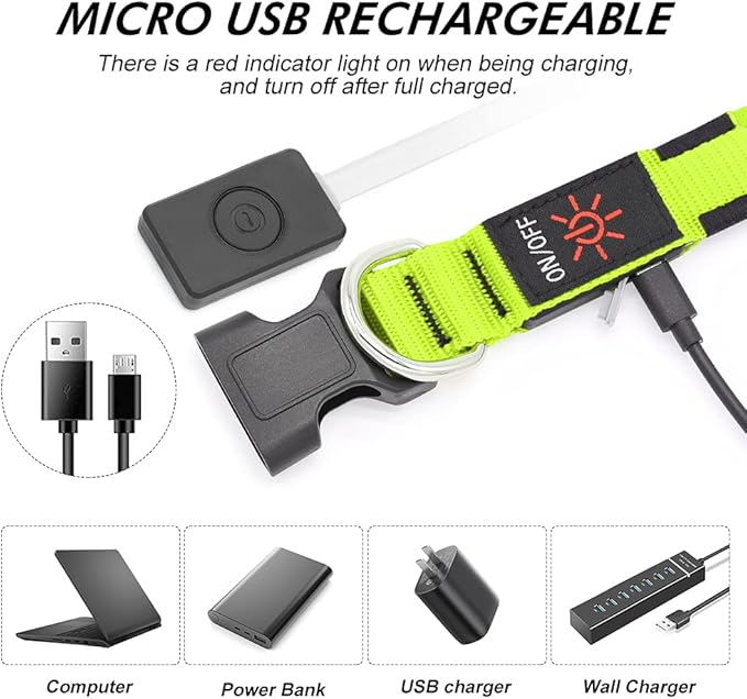 LED Dog Collar, USB Rechargeable Light Up Dog Collars, Adjustable Glow Collars for Dogs, Reusable Safety Dog Collar for Small, Medium, Large Dogs (Green, Small)