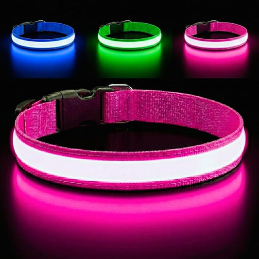 Light Up Dog Collar – Reflective, Adjustable & Rechargeable Electronic Glow Pet Collars – Bright, Comfortable, High Visibility LED Dog Collar for Night Safety, Outdoor Walk, Flashing Fun, Pink, Medium