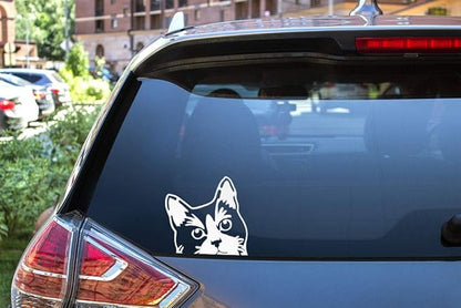 WIRESTER 6 inch Clear Vinyl Decal Sticker Decoration for Car Window (Or Any Flat Surface) - Tuxedo Cat