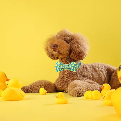 Maca Bates Summer Cute Duck Dog Collar with Bow Tie Funny Ducky Puppy Bowtie Collars Adjustable Durable Breakaway Green Fun Fancy Thick Collar for Boy Girl Male Female Dogs,Extra Small