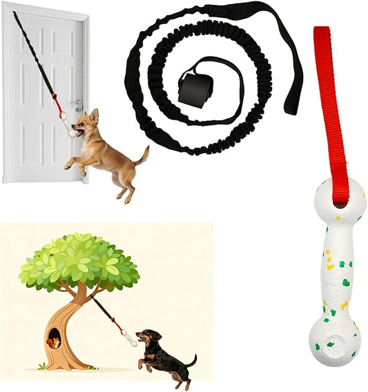 Hanging Dog Bungee Tug Toy for Puppy Small Dogs Chase, Indoor Spring Pole Over Door, Outdoor Tree Tether Tug, Interactive Pull Rope Toy for Self Play Exercise & Training