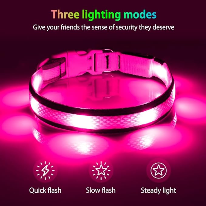 Illumifun Light Up Dog Collar, USB Rechargeable LED Dog Collar Glow in The Dark, Waterproof Reflective Dog Safety Light for Your Dogs Walking at Night (Large, Light Pink)