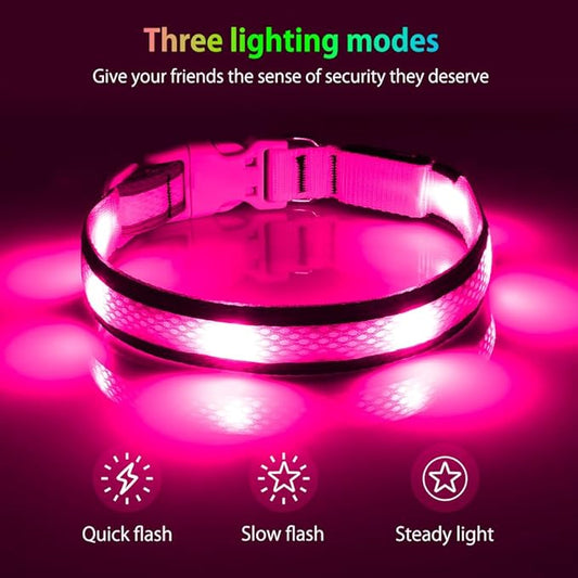 Illumifun Light Up Dog Collar - USB Rechargeable LED Dog Collar Glow in The Dark, High Visibility Glow Collar Light for Nighttime Walking (Medium, Light Pink)