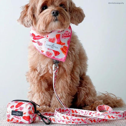 Lucy & Co. Dog Poop Bag Holder - Leak Proof Dispenser with Leash Attachment - Easy Refills - Hygienic Pet Poop Pickup - Pink Orange Western