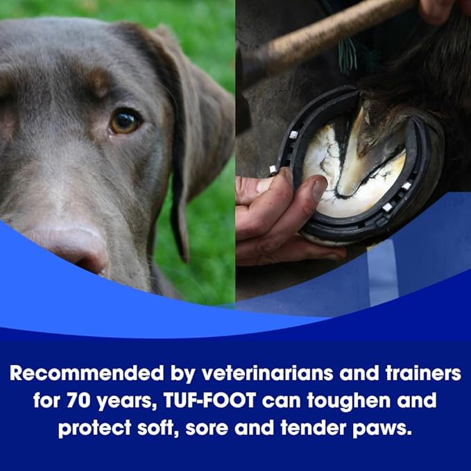 Dog Paw & Skin Protection Liquid – 7oz | Veterinarian Recommended | Heals & Protects Paws, Hooves & Skin | Lick-Safe Paw Protector for Dogs Against Hot Pavement, Ice & Salt