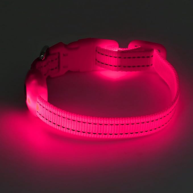 BSEEN Light Up Dog Collar, Rechargeable LED Dog Collar Glow in The Dark Cat Collar Reflective Puppy Collar Safety Dog Lights for Night Walking (Pink, XS)