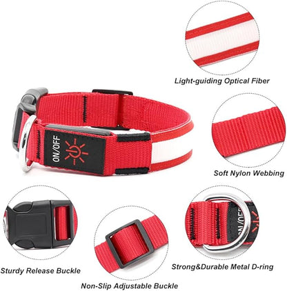 Illumifun LED Dog Collar, USB Rechargeable Light Up Dog Collars, Flashing Safety Dog Collar Glow in The Dark (Red, Medium)