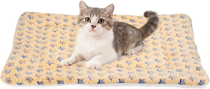 Dog Cat Bed Mat, Soft Coral Fleece Pet Cushion Pad with Cute Star Print, Warm Washable Pet Bed 23x18 Inches, (Coffee), Intended for Medium Small Dog Cat