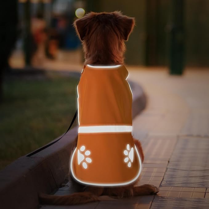 Candofly Reflective Dog Vest, High Visibility Safety Pet Hunting Jacket for Night Walking Camping (Orange, Medium)