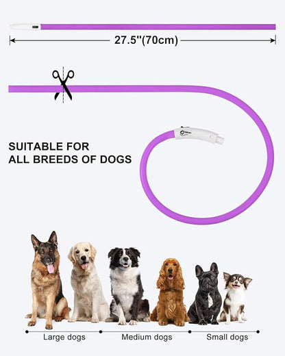 Joytale Light Up Dog Collar, Rechargeable Rainproof LED Collar for Night Walking Safety, Soft Silicone Glow in The Dark, Suitable for Small Medium Large Dogs, Purple